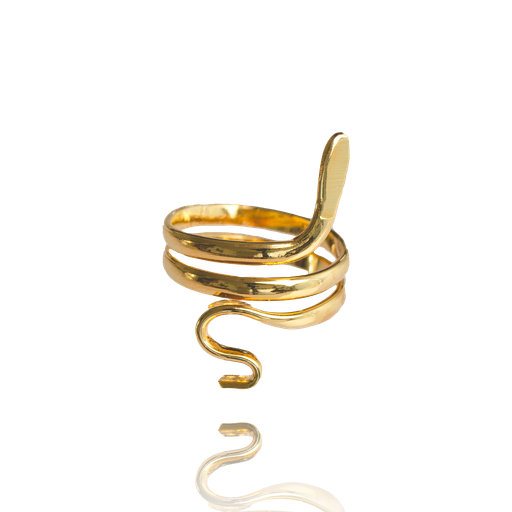 Anillo Serpiente